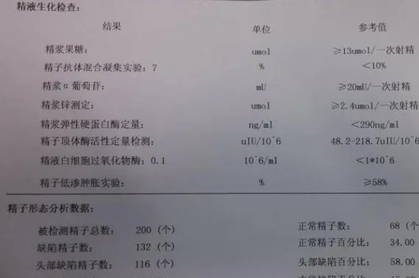 备孕需要禁欲几天才能保证检查出的精子质量小于10%？