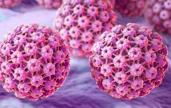 女方是hpv35高危型阳性可以做三代试管吗？