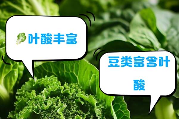 备孕期间补充叶酸是关键