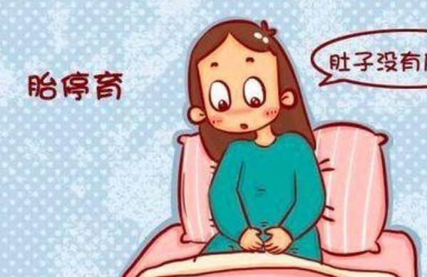 为什么发生胎停育的孕妇怀的多数是男丁呢？