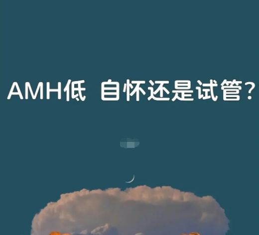 amh小于0.06试管成功率多少?amh值低怎么调理?