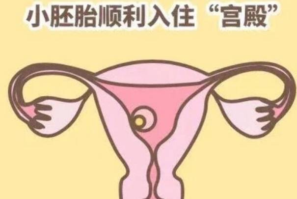 胚胎移植一般采用月经周期第19-21天进行