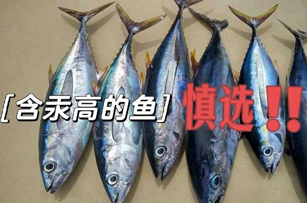 高汞鱼类备孕期间不建议吃