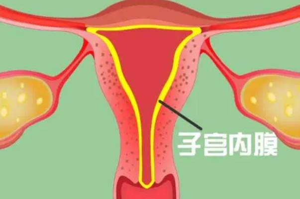 内膜15别纠结移植鲜胚成功的多不多了，关心下清宫与否先