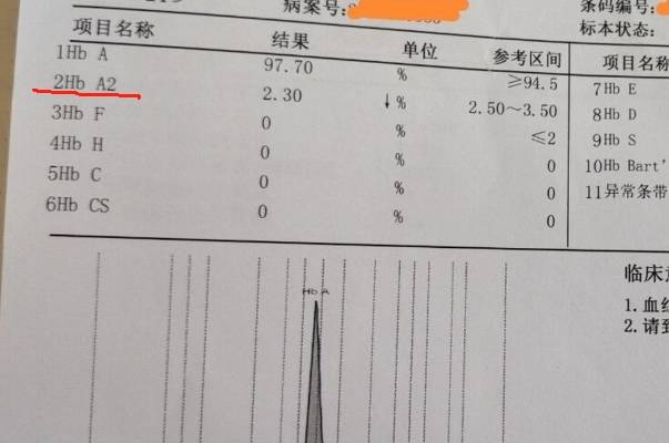 血红蛋白a2降低可能是地中海贫血