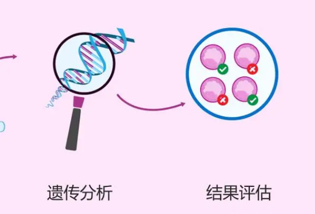 家中无遗传病史做第三代试管婴儿胚胎筛查两次都必须要做吗？