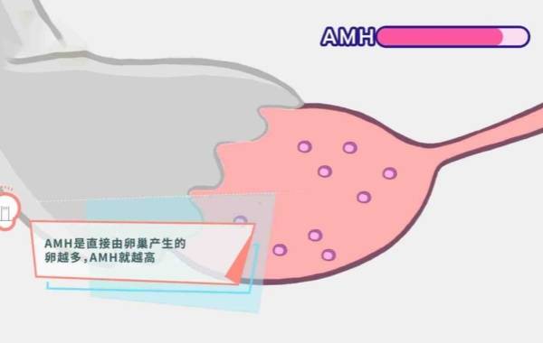 37岁女性amh数值0.38可以做三代试管吗？