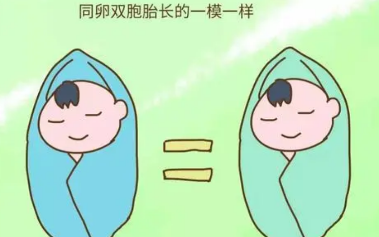 都说孕妈怀同卵**很吓人是怎么回事？