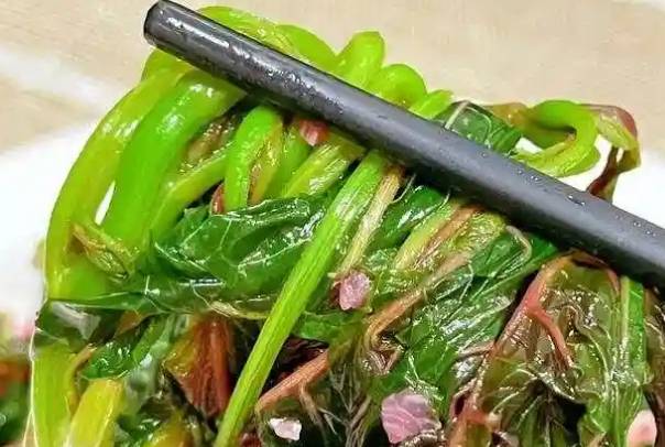 备孕期间吃菠菜可以补充叶酸