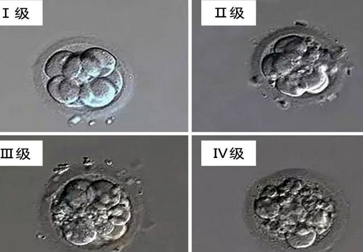 试管胚胎级别对照一览表，看图教你怎么划分8个三级