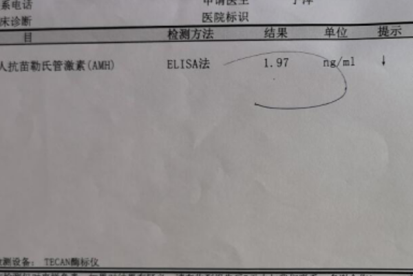 amh值小于0.06代表卵子质量下降