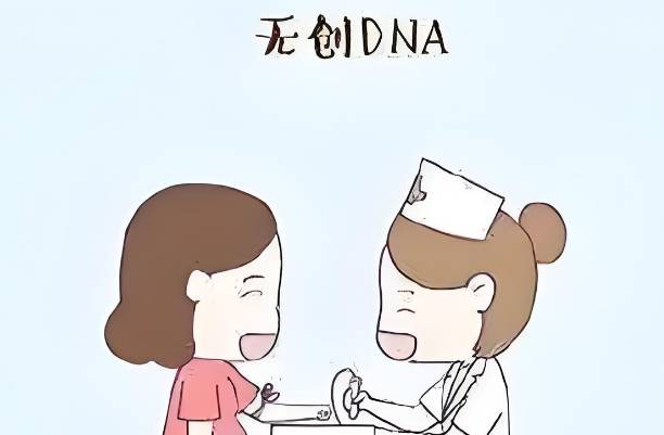 无创dna可以测胎儿是男是女