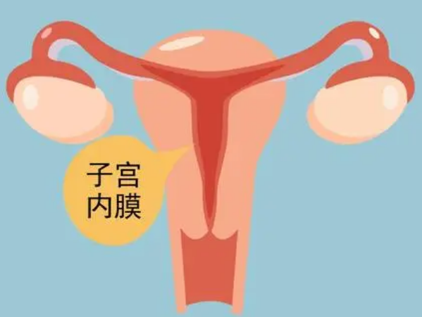 女性子宫内膜偏薄但是卵泡成熟能怀上孩子吗？