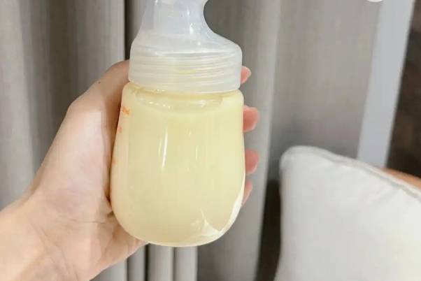 初乳中的免疫球蛋白IgA含量能达到成熟乳的5倍