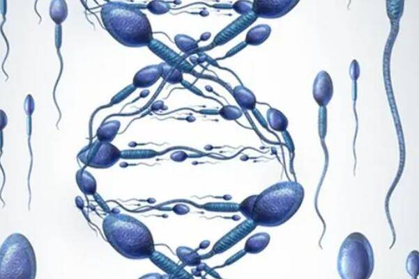 异常精子95%,正常精子5%,生育能力降低该怎么办？