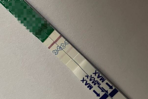 试管移植14天后可以验孕