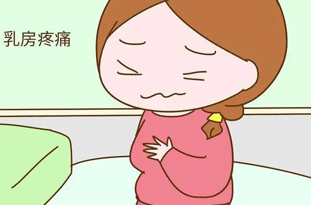 为什么乳头疼怀**几率大一些？激素分泌是“祸首”