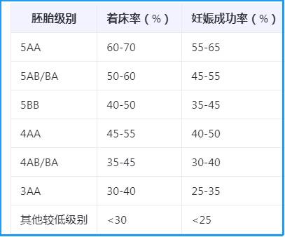 鲜胚级别与成功率对照