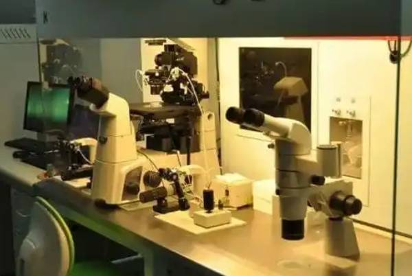 去私立机构做试管不一定会成功