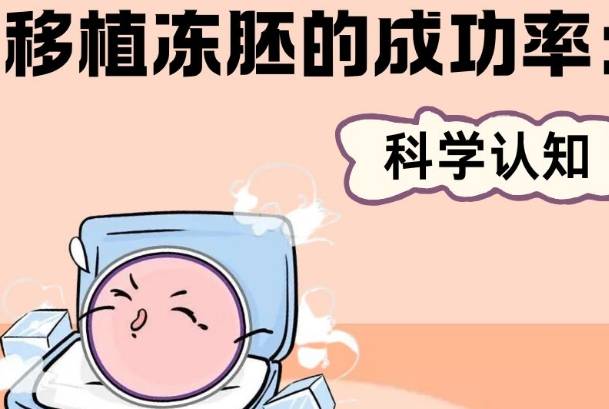 胚胎质量会影响冻胚移植成功率