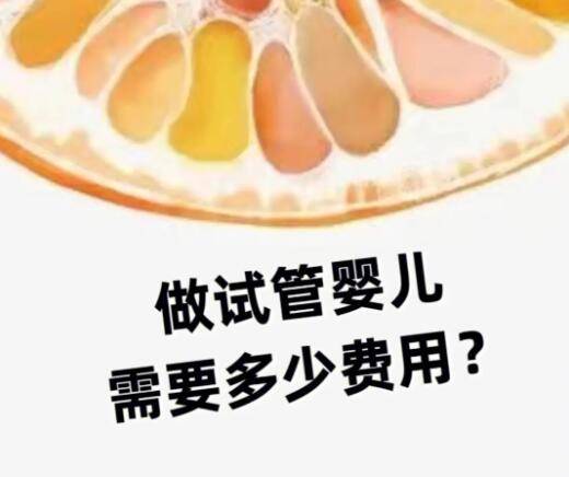 去日本做**试管费用，日本**试管费用的构成？