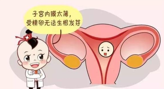 做试管时内膜薄到0.6mm不经过调理有成功怀孕了的吗？