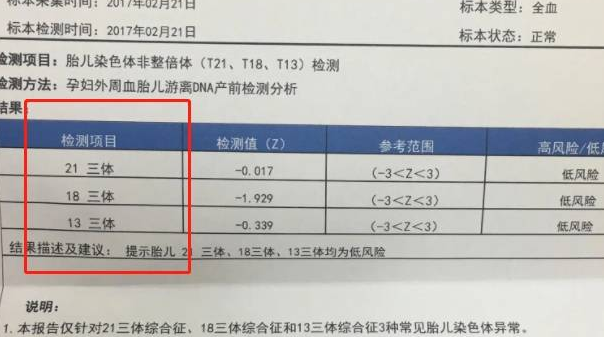 已**宝的无创dna单子