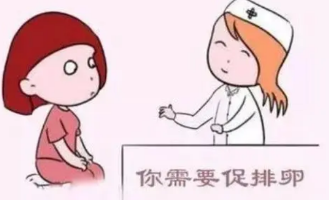 试管婴儿中的促排卵技术是什么？