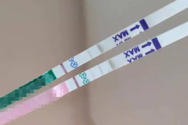 排卵试纸和早孕试纸测的东西不同