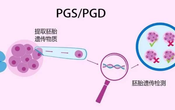 夫妻双方地贫做试管三代避免遗传的成功率有多少？